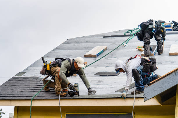 Professional Gutter Installation technician working in Prichard, AL